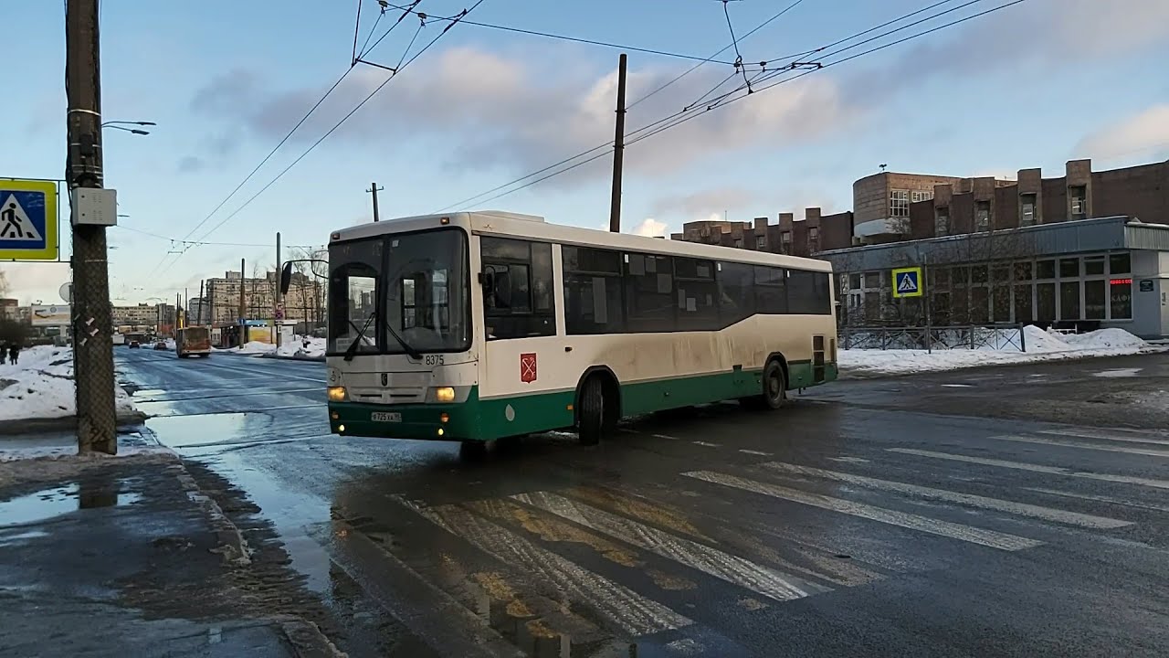 Маршрут 197 казань. Автобус ЛИАЗ Питера. Автобус НЕФАЗ Кузбасс. 388 Автобус маршрут. Транспорт СПБ 2022 автобусы.