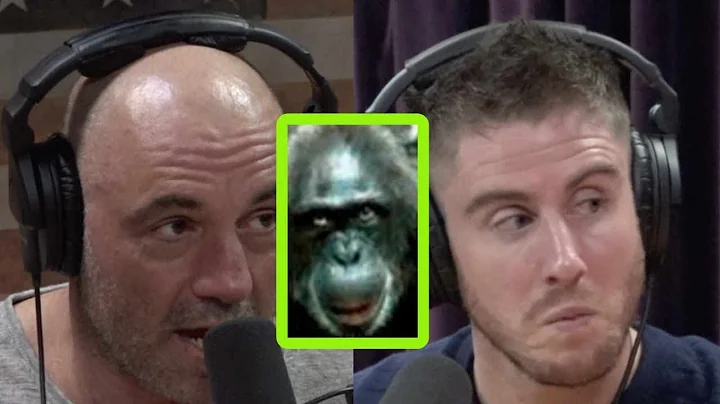 Joe Rogan Talks Lion-Killing Chimps, Terror Birds,...