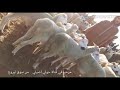 سوق لبروج التمن طايح سوق لبروج التمن طايح
