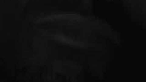 The Bug - Skeng - Official Video