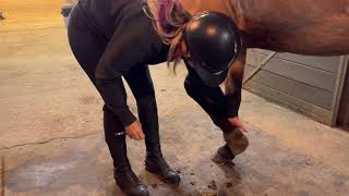 Grooming - How to pick out horses hoof