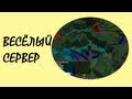 ВЕСЁЛЫЙ СЕРВЕР!