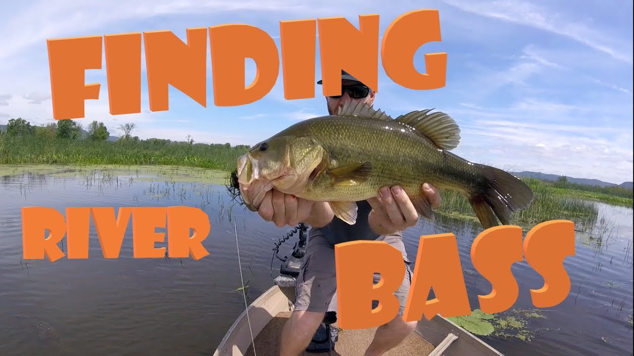 POOL 4 BASS - Mississippi River – Bass - Mississippi River – Bass