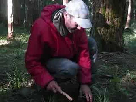 Backcountry Poo-Poo Clinic