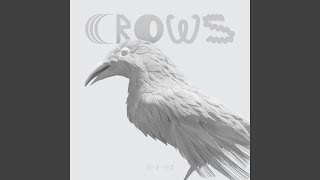 Video thumbnail of "Orfred - Crows"