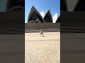 Shadow at the Opera house #mma #resilience #sydneyoperahouse #boxing #ufc325