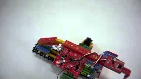 Chạy thử ROBOT FUN & BOT Purple Scorpion