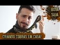 Como criar cobras de estimação? O guia COMPLETO! - Bota Suja Ep.02