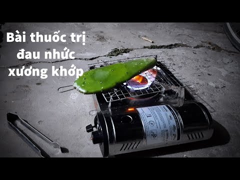 Xương Rồng Bàn Tay - Bài Thuốc Xương Rồng Tai Tượng Đặc Trị Thoát Vị Đĩa Đệm Đau Lưng mtl 140 | Miền Tây Life