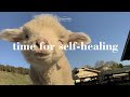 Playlist time for self  healing   songs to cheer you up after a tough day