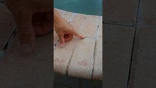 Pool Leaks: The Expensive Truth Homeowners Overlook