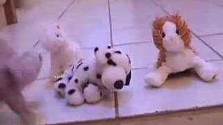 Webkinz Dance Party
