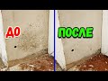 Как легко избавиться от плесени и грибка на стенах (простой и дешёвый способ)