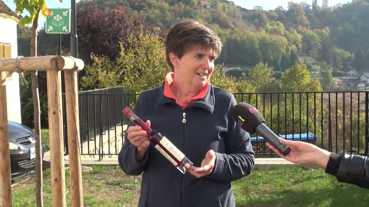 Zgodba o Jarevinu in vinskih utrinkih Jarenine