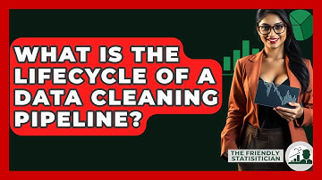 What Is The Lifecycle Of A Data Cleaning Pipeline? - The Friendly Statistician
