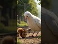 Woh Aayega.Mujhe Pata Hai 💔 | The Squirrel Who Waited Forever | Emotional Animation #animation
