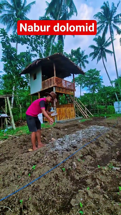 kegiatan berekbun hari injli #nature #budidayatanaman #agrikultur