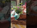 Summer Patio Refresh | Romanticizing my Apartment