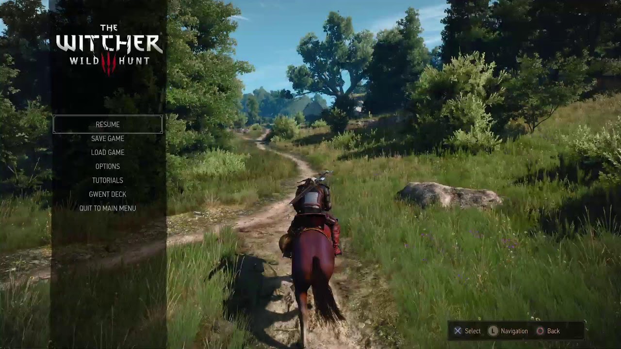 MercsX7 Witcher Vibes