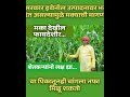 2026 पावसाळा: टॉप नफा देणारी पिके! 🌱 MSP + मार्केट फुल अपडेट  मूग, तूर, मका की सोयाबीन? काय लावावे?”