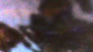 Capture 20111216 8