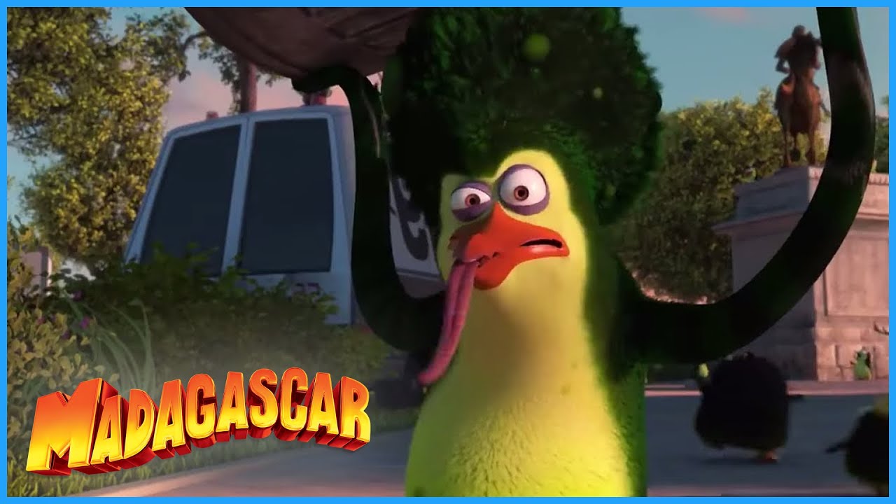 DreamWorks Madagascar | Kind Of The Same Either Way | Penguins of Madagascar Clip