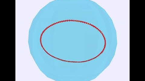 Simulation of actin ring in confinement