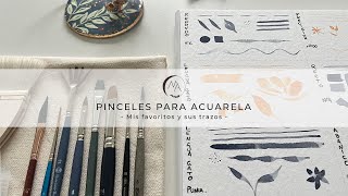 Pinceles para acuarela. Mis favoritos y los trazos que hace cada uno