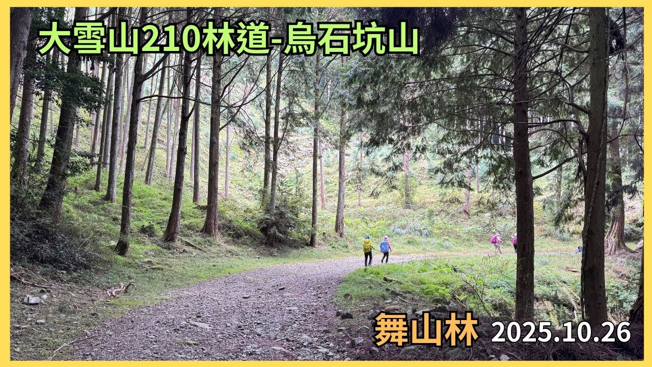 大雪山210林道-烏石坑山(因為太美我們又來了)2025.10.26