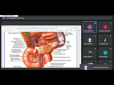 ტოპანატომია-თორმეტგოჯა,პანკრეასი,ელენთა