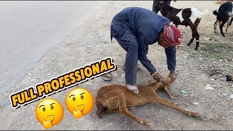 Amazing Goat Cutting Expert | Mutton Cutting Skills | Goat Meat Cutting 
