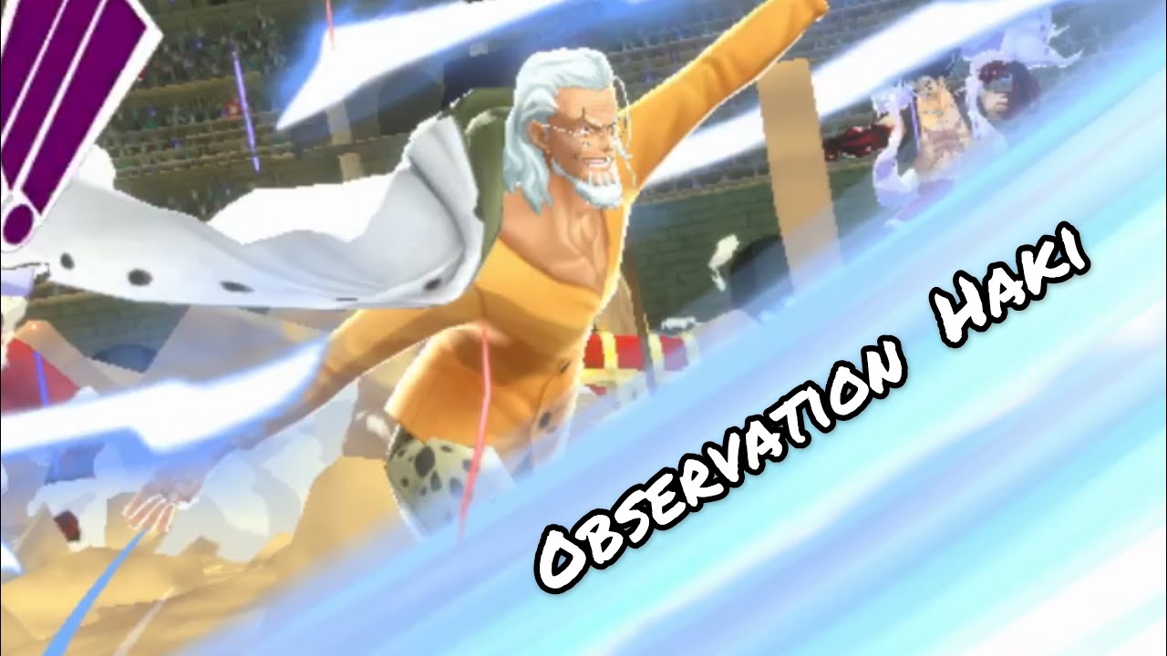 observation haki observation haki