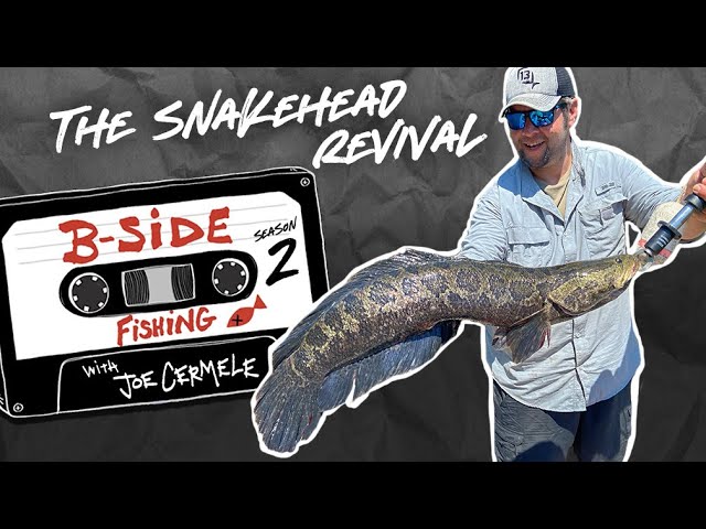 Unleash Your Fishing Skills with this Snakehead Fish Lure 12 5cm 18 5g