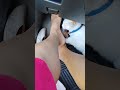 Busy Car Cat 😺🚗