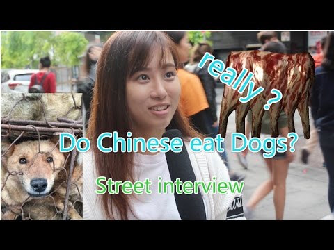 Do Chinese Really Eat Dogs?|Ask Chinese About Eating Dogs|Street Interview|街访中國人吃狗肉嘛