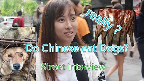 Do Chinese Really Eat Dogs?|Ask Chinese about Eating dogs|Street Interview|街访中國人吃狗肉嘛 - DayDayNews