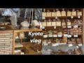 (Sub)일본vlogㅣ미용실가서 카키 염색. ひつじ 도넛. kurasu 커피 마시고 택배 언박싱하는 직장인 일상.