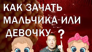 Как зачать мальчика или девочку? How to conceive a boy or a girl?