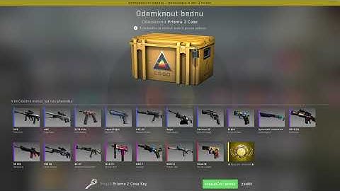 Opening case | Prisma 2 case | Day 3