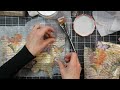 How To Decoupage Napkins for Beautiful Backgrounds for Cardmaking and Mixed Media Projects