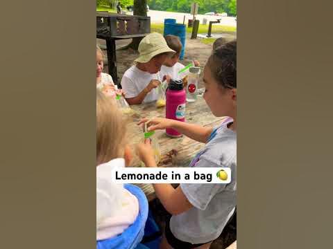DIY Lemonade in a Bag for Kids #diyprojects #lemonade - YouTube