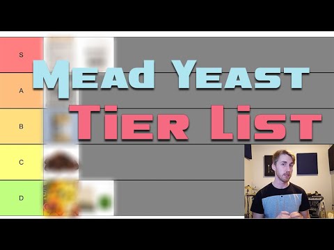 What&rsquo;s the Best Yeast Nutrient? Tier List!