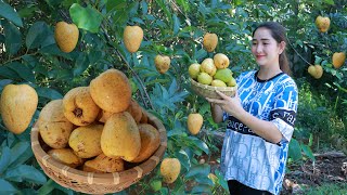 Have you ever seen this fruit before | How to eat ocean sop | Ocean sop harvesting my country