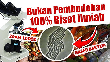 100% RISET ILMIAH.❗❗❗ CARA PALING EFEKTIF BASMI HAMA DAN PENYAKIT | Interval Fungisida & Insektisida