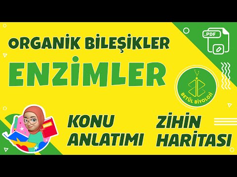 Enzimler - TYT Biyoloji - 9. Sınıf Biyoloji + PDF #YKS2022 #enzimler #TYTbiyoloji