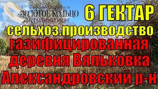 видео: Продаётся земельный участок 6 Га под сельхоз.производство в деревне Вяльковка, Александровский район картинка: Продаётся земельный участок 6 Га под сельхоз.производство в деревне Вяльковка, Александровский район