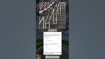 Work smarter not harder #shorts #video #viral #monkey #cute