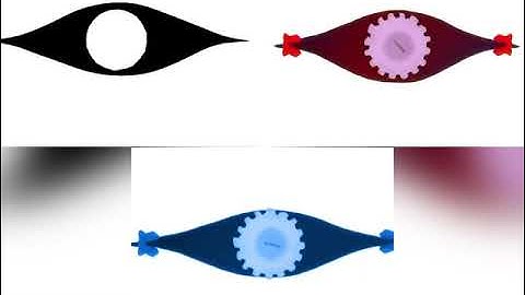 bad apple shadow art vs 3d mmd vs in color