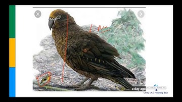 Mission 2020: Lecture 3 Environment | Current Affairs Revision for Prelim 2020 UPSC/CSE/IAS