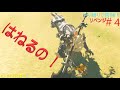 ゼルダの伝説 リベンジ#4 やり縛りで冒険‼#13 (セシルと皆と冒険3)